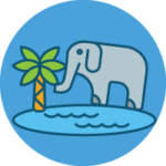 Elephant Conservation